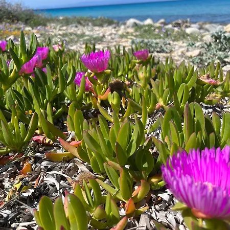 Casa Polare Semesterbostad *