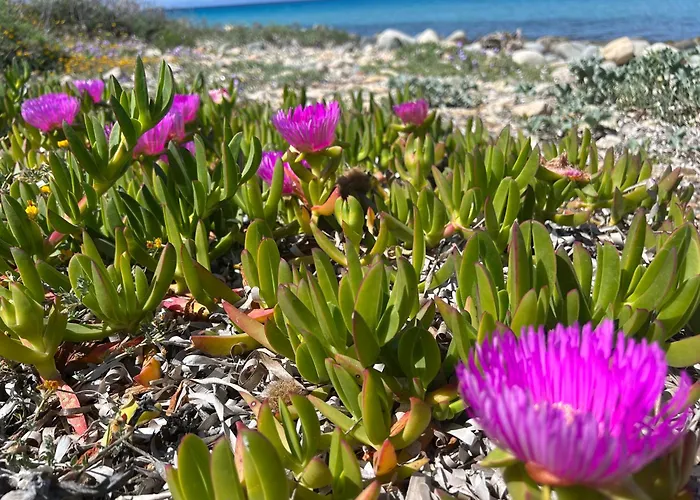 Casa Polare Dom wakacyjny *